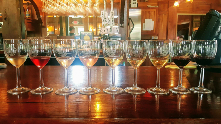 Sarah's Vineyard