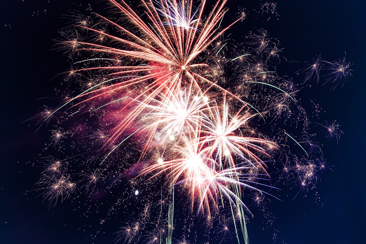 4th of July Celebration Stricker's Grove