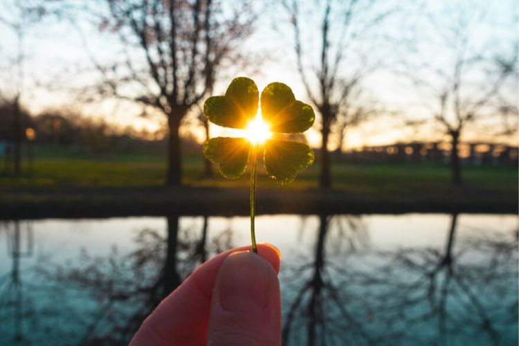 St. Patrick's Day Events - Northeast Ohio - Cutler Real Estate
